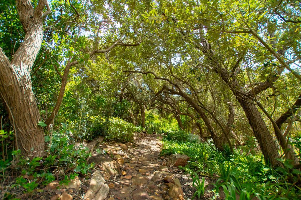Makapa Lodge Kapstadt Exterior foto