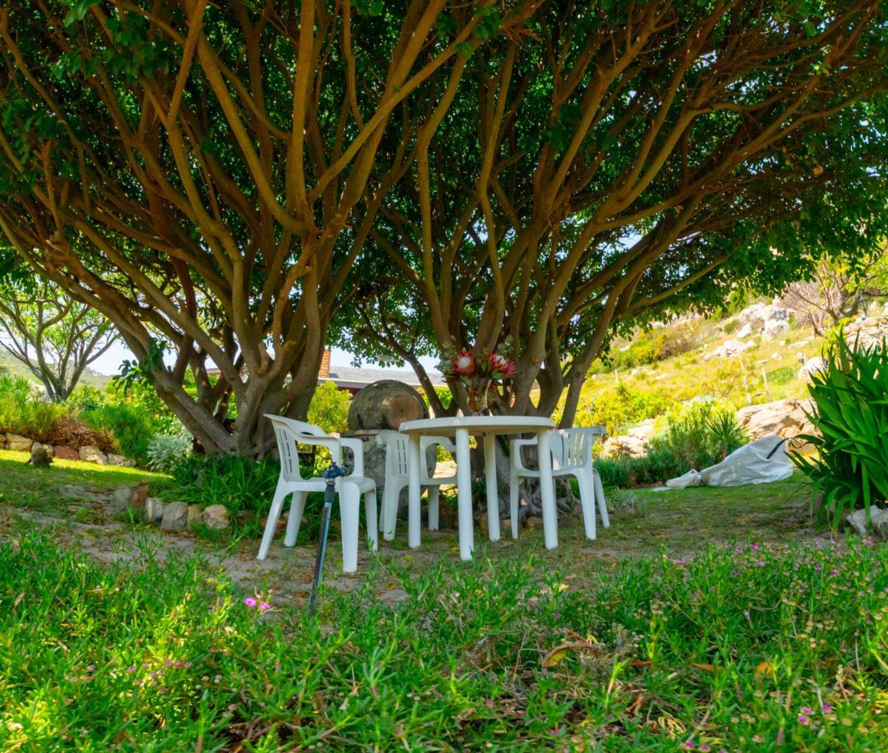 Makapa Lodge Kapstadt Exterior foto