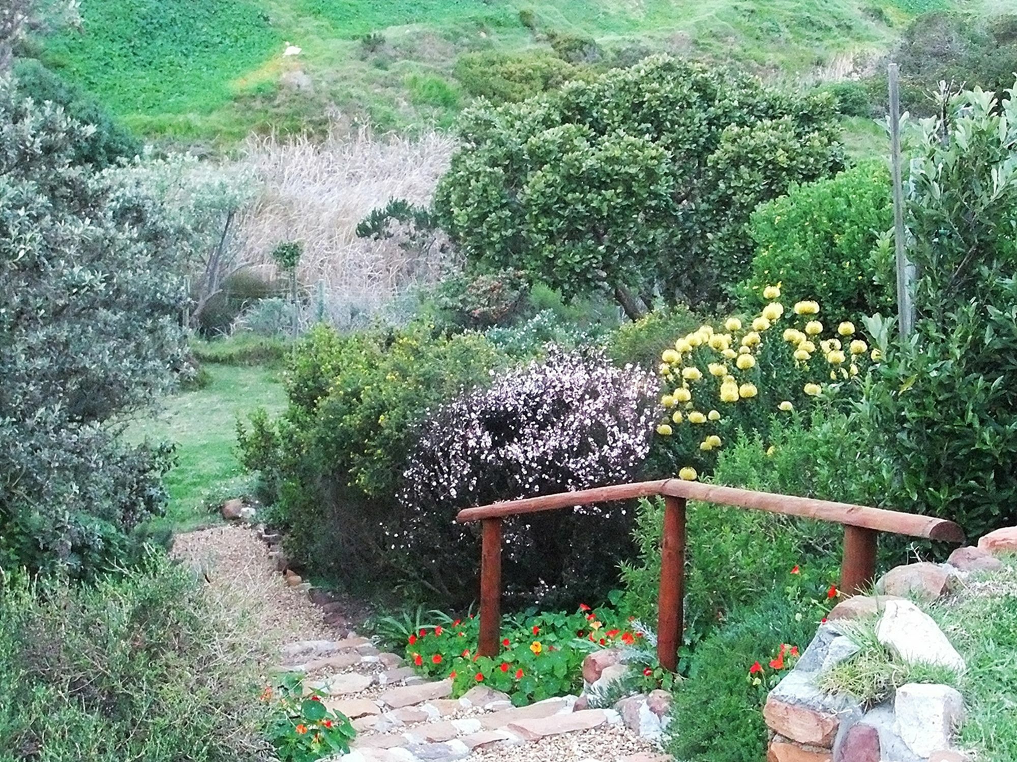 Makapa Lodge Kapstadt Exterior foto